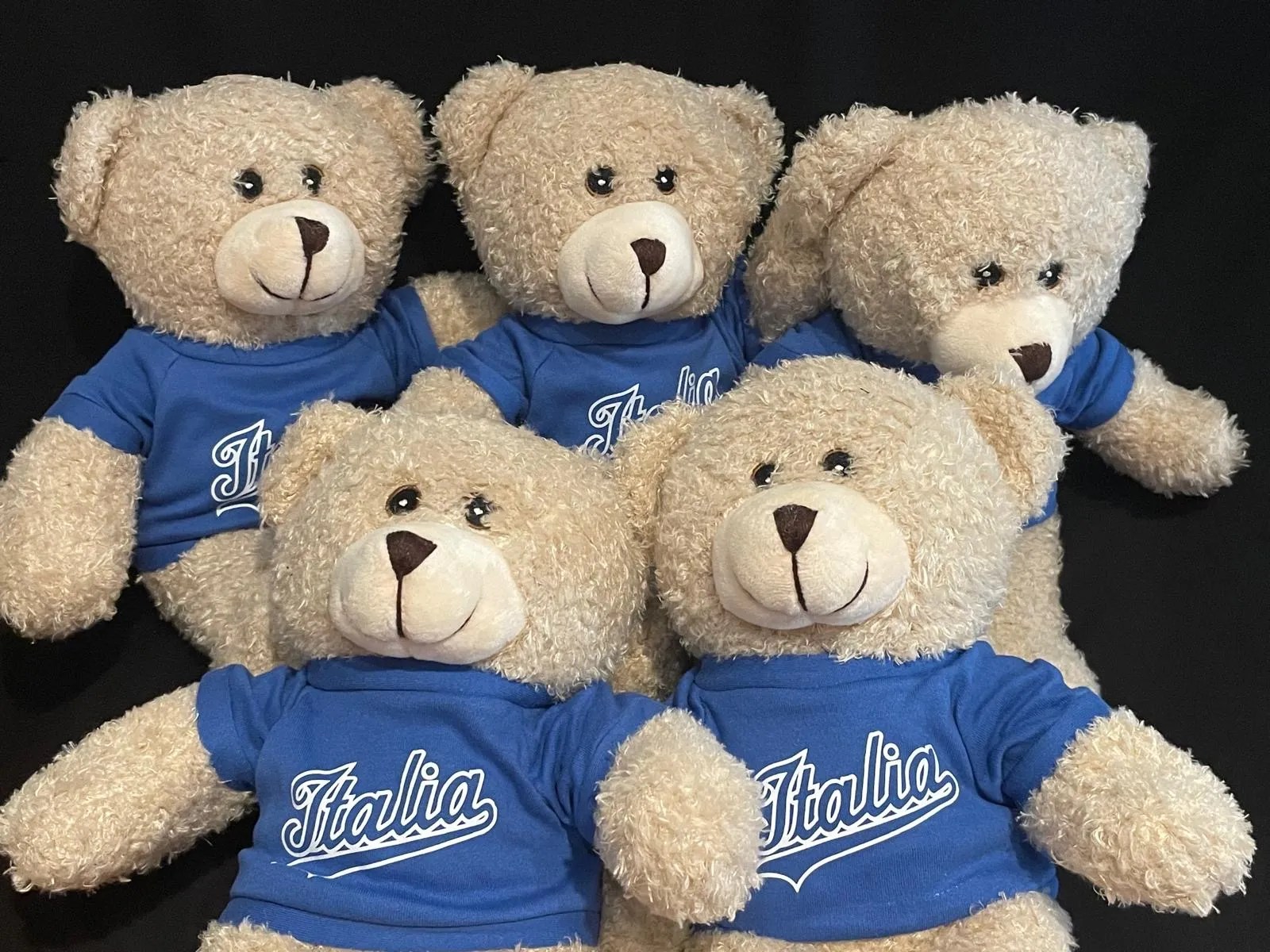 Italian Teddy Bear