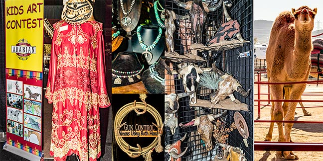 Painting Competitions for Kids. Merchandize & Camel Rides