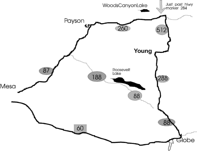 Searching for homes for sale in christopher creek? Where is Young, Arizona? | Cherry Creek Cabins