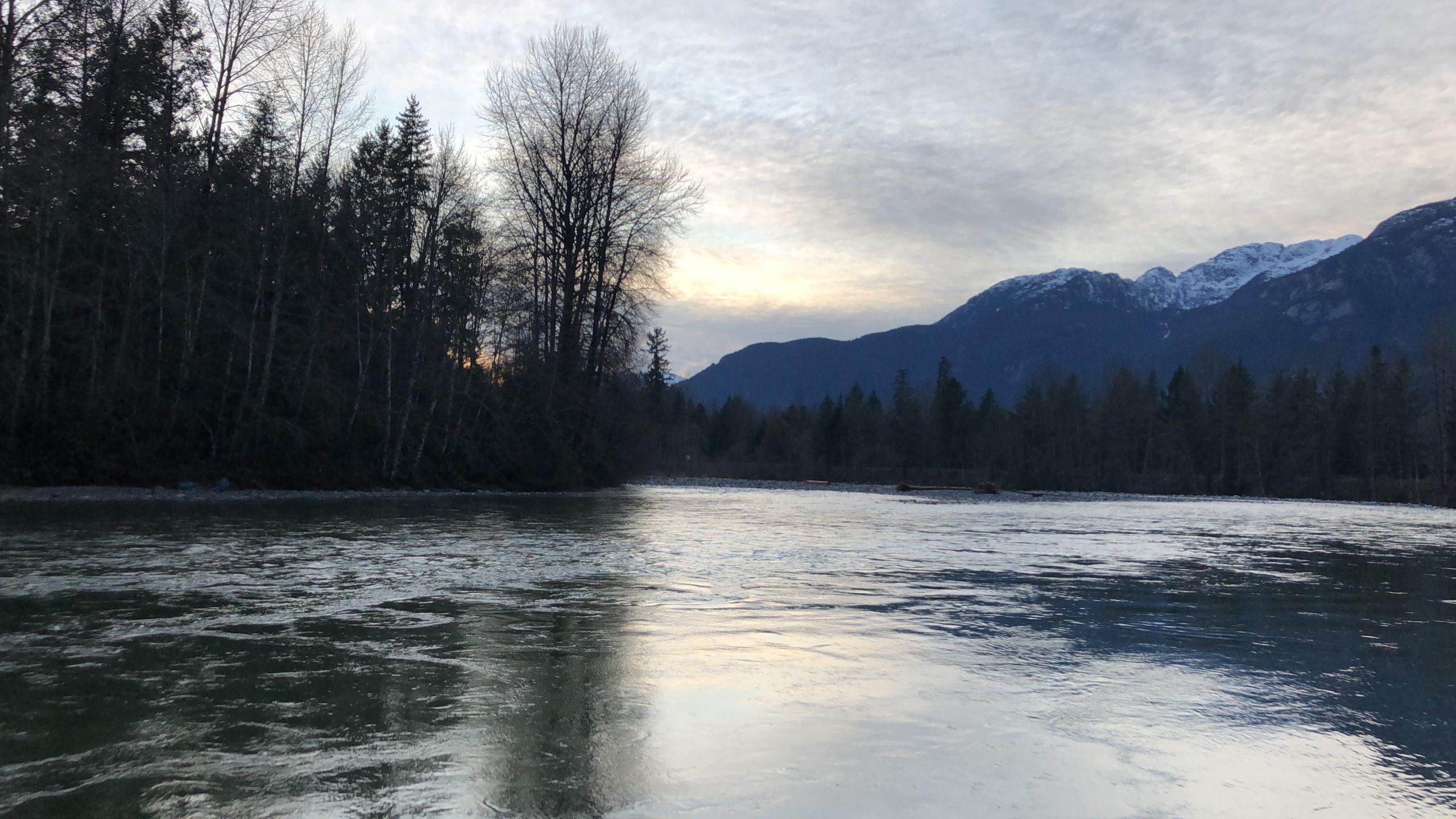Garibaldi Highlands a greeting Cherry Green