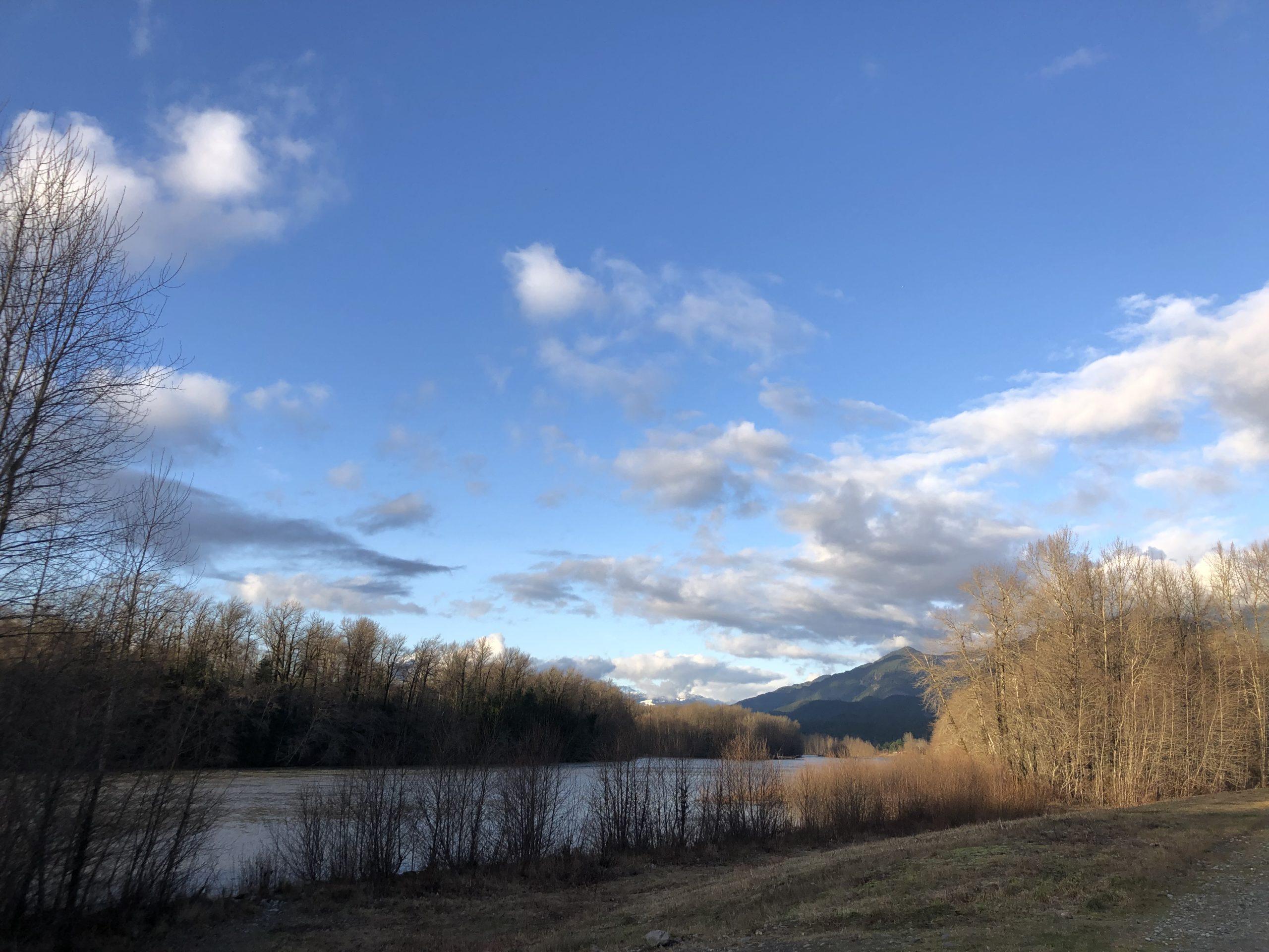 Garibaldi Highlands a greeting Cherry Green