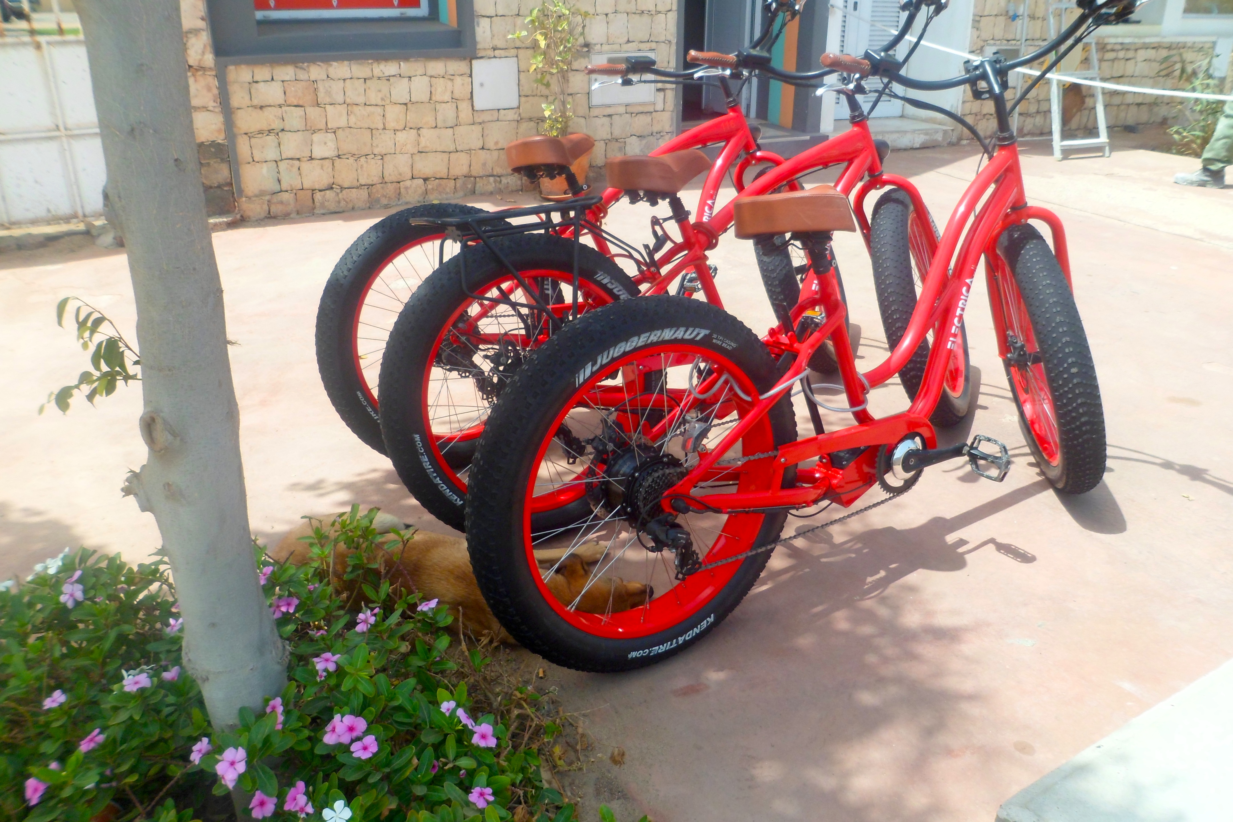Bikes for hire, Santa Maria