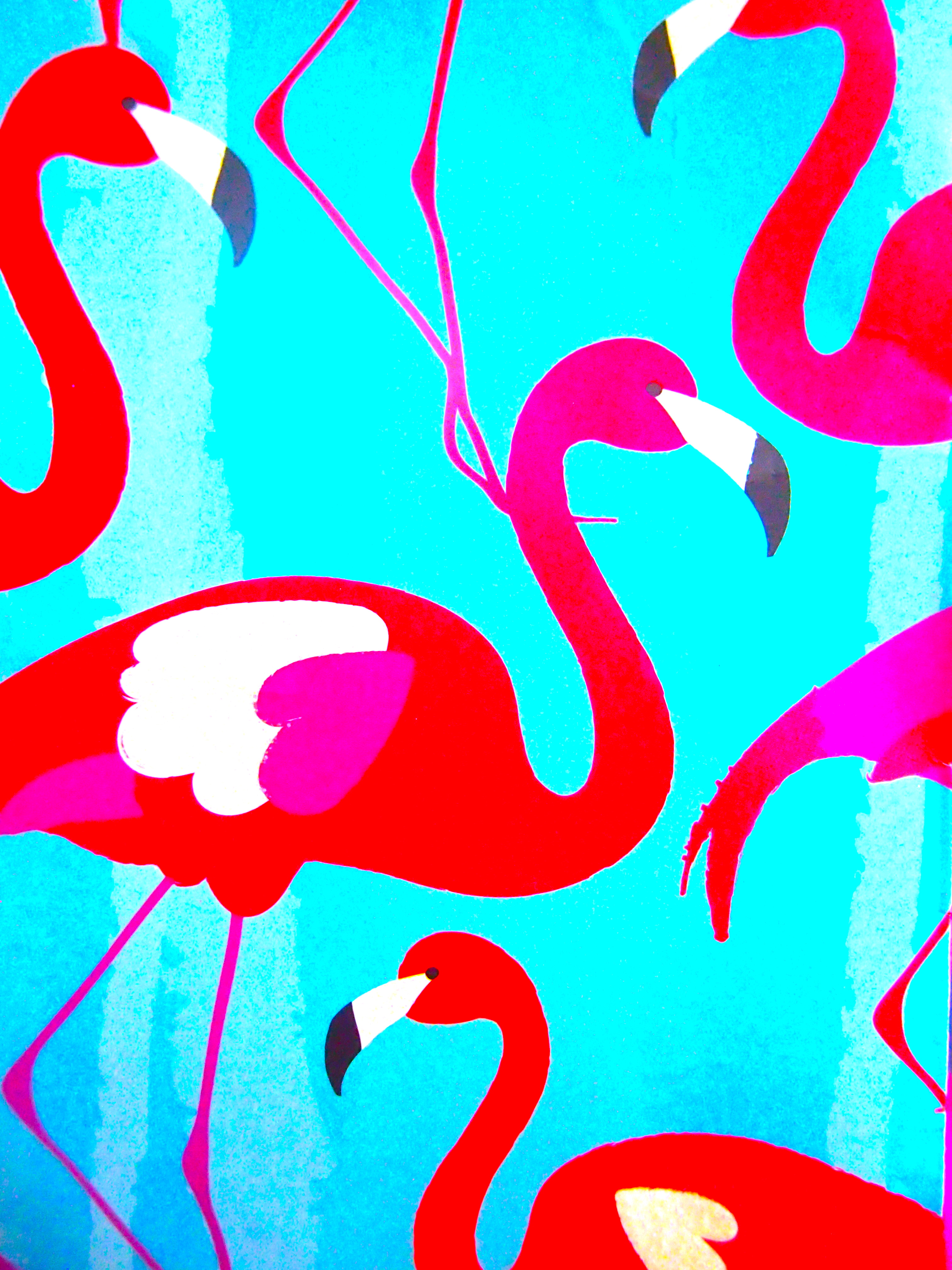 Flamingo vibes