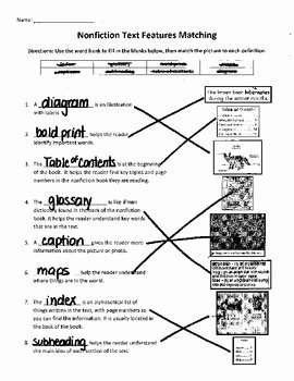 50 text features worksheet pdf