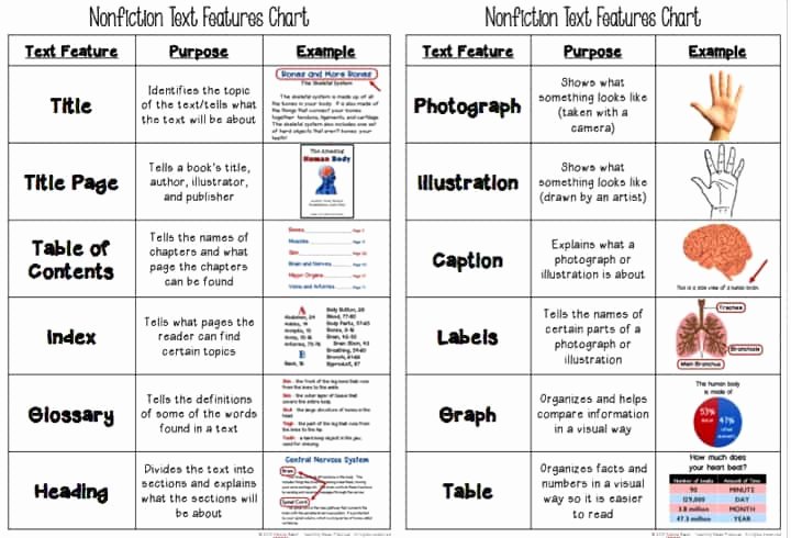 50 text features worksheet pdf