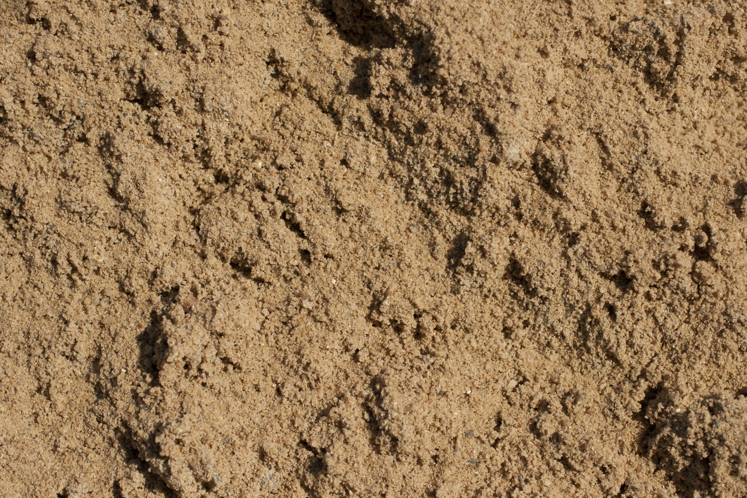 Soils