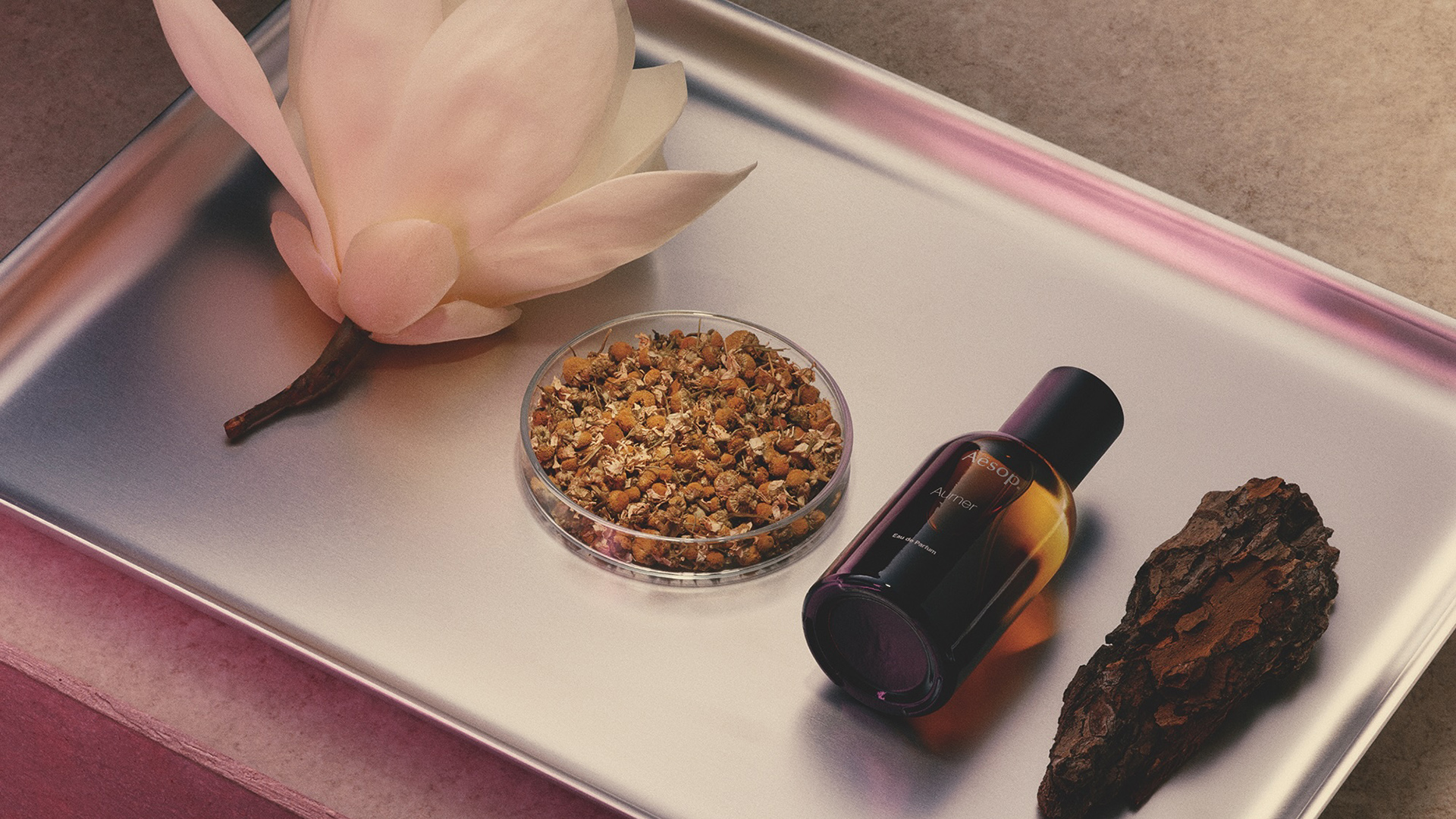 Aesop 推出新香水「詠香水」：柔美與堅韌的詩意碰撞