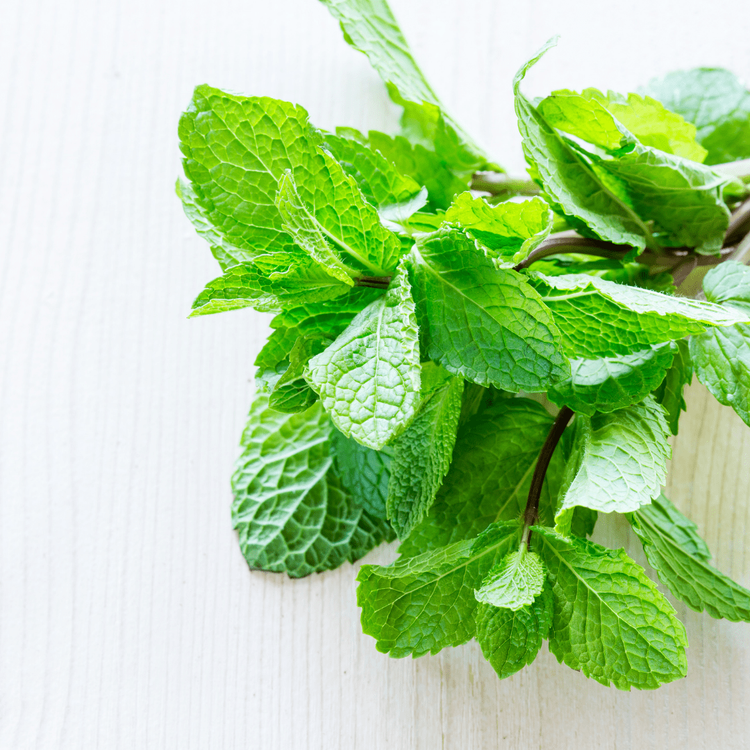 Fresh Mint