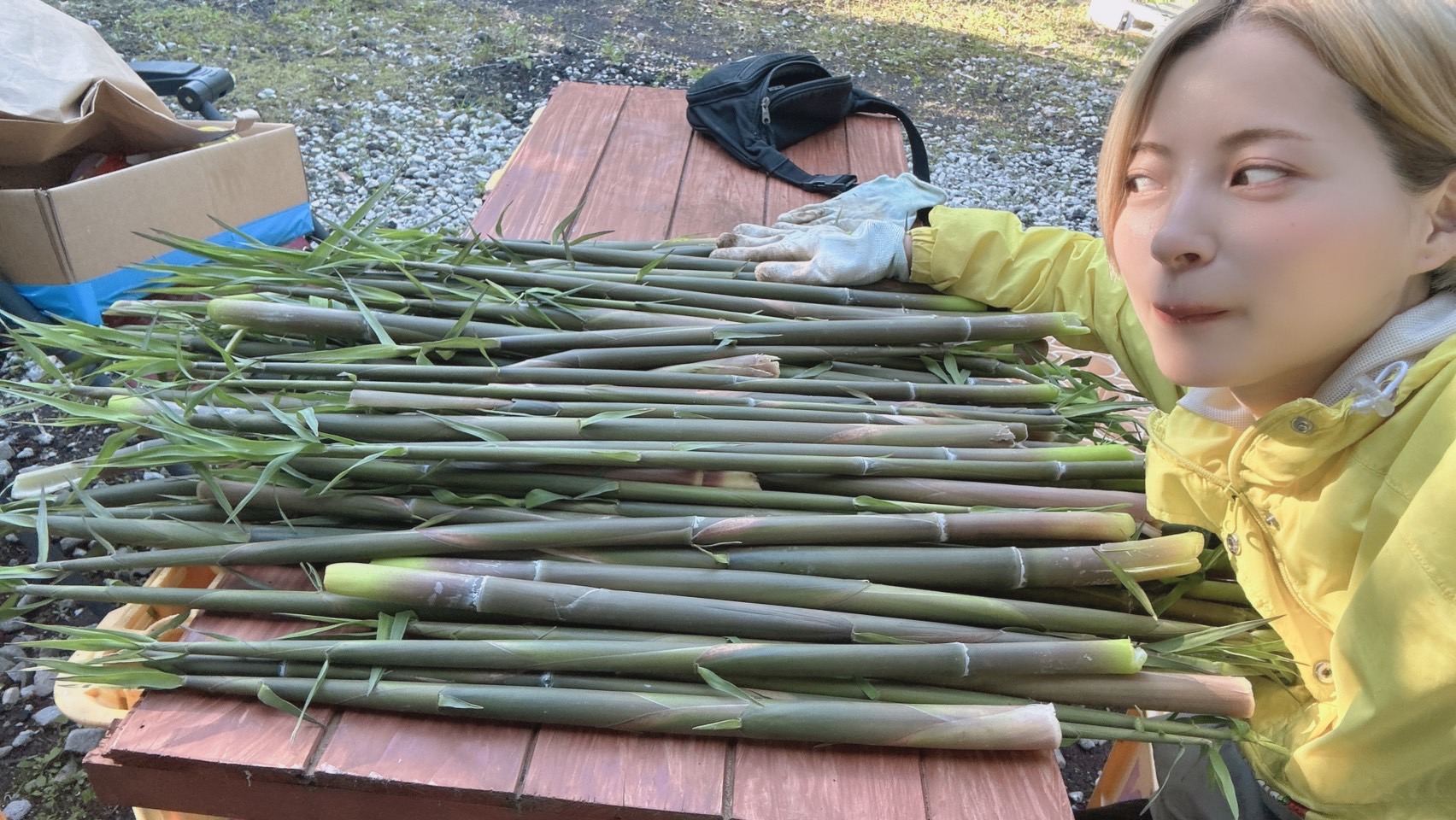 S__112336953_0.jpg?fit=1704,