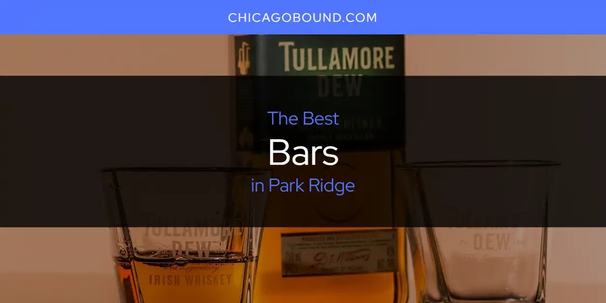 2025 guide to best singles bars in chicago