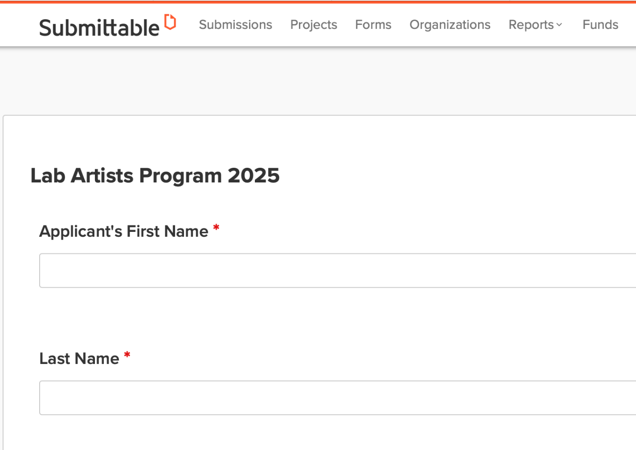 Screenshot of a grant program application.