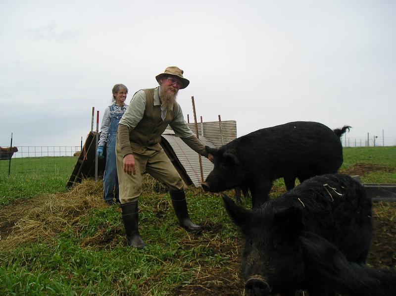 The Whole Hog Project: Meet the farmers, part two - Chicago Reader