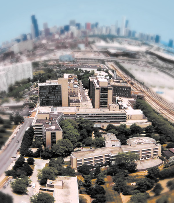 Michael Reese Hospital: The First Sacrificial Lamb - Chicago Reader