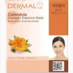 Calendula
