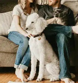 Couple with dog and cat