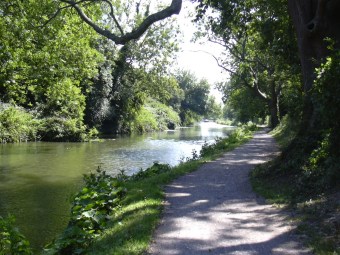 Canal & towpath view Chichester canal and towpath north of Cutfield Bridge