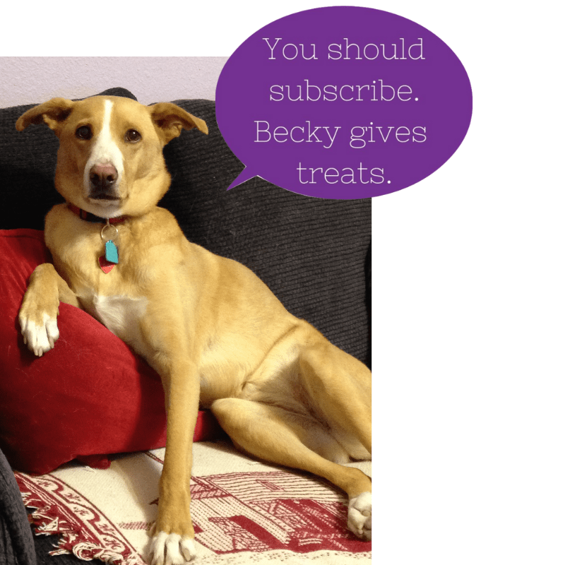 You should subscribe