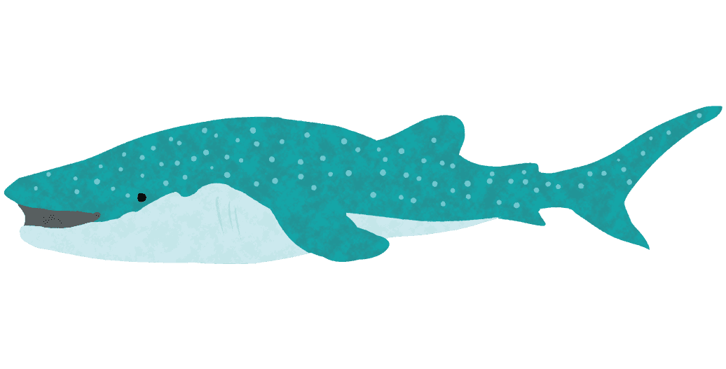 選択した画像 水槽 イラスト