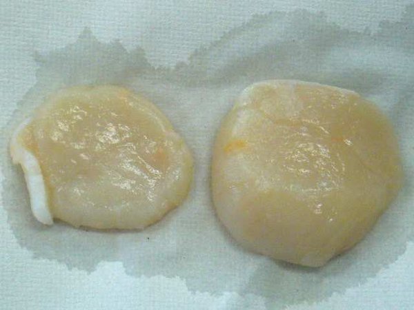 貝柱は貝の何 貝柱 かいばしら の意味 Qztay