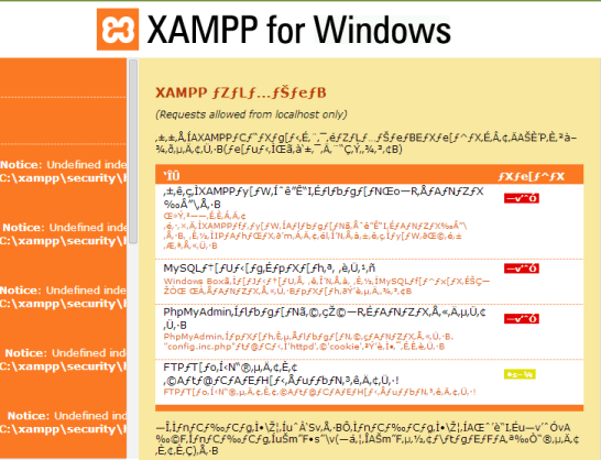 xampp-security-code