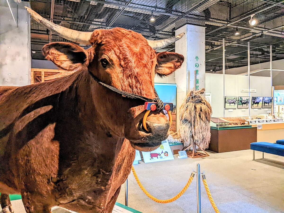 青銅製   夫婦が乗った牛 ウシだらけの個性派ミュージアム『牛の博物館』（奥州市） | シマグニ