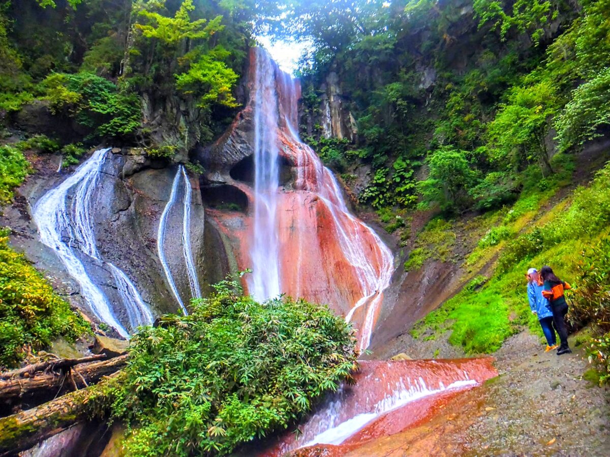 wp-1672153202299..jpg?fit=1024