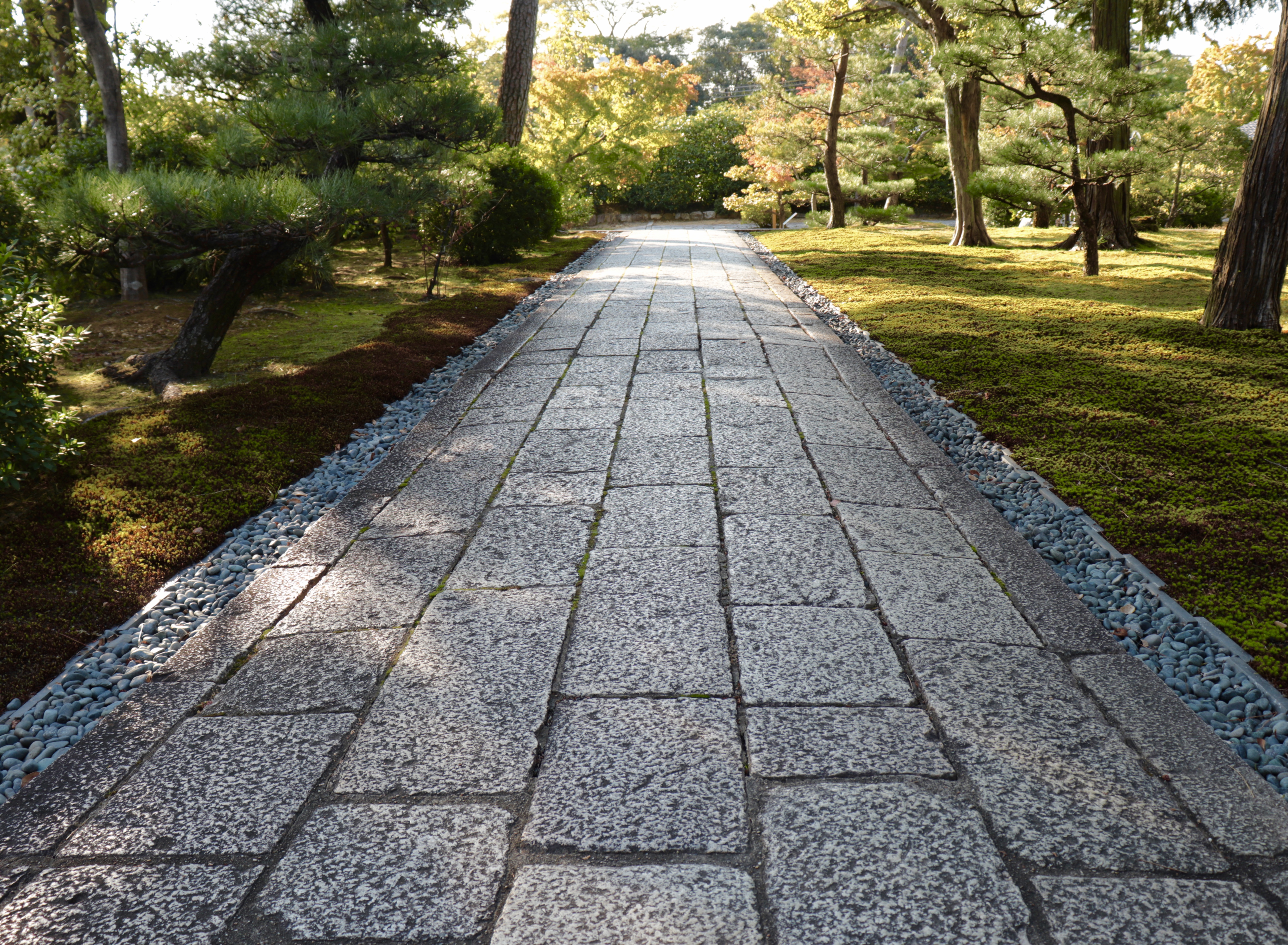 智積院、京都東山、真言宗、総本山智積院、沈香木、線香3、5月12日購入 智積院、京都東山、真言宗、総本山智積院、沈香木、線香3、5月12