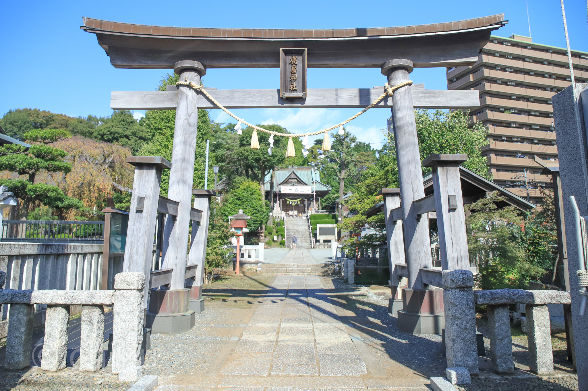 2025年9月10月】神奈川で重用の節句や十五夜+α限定御朱印が登場する