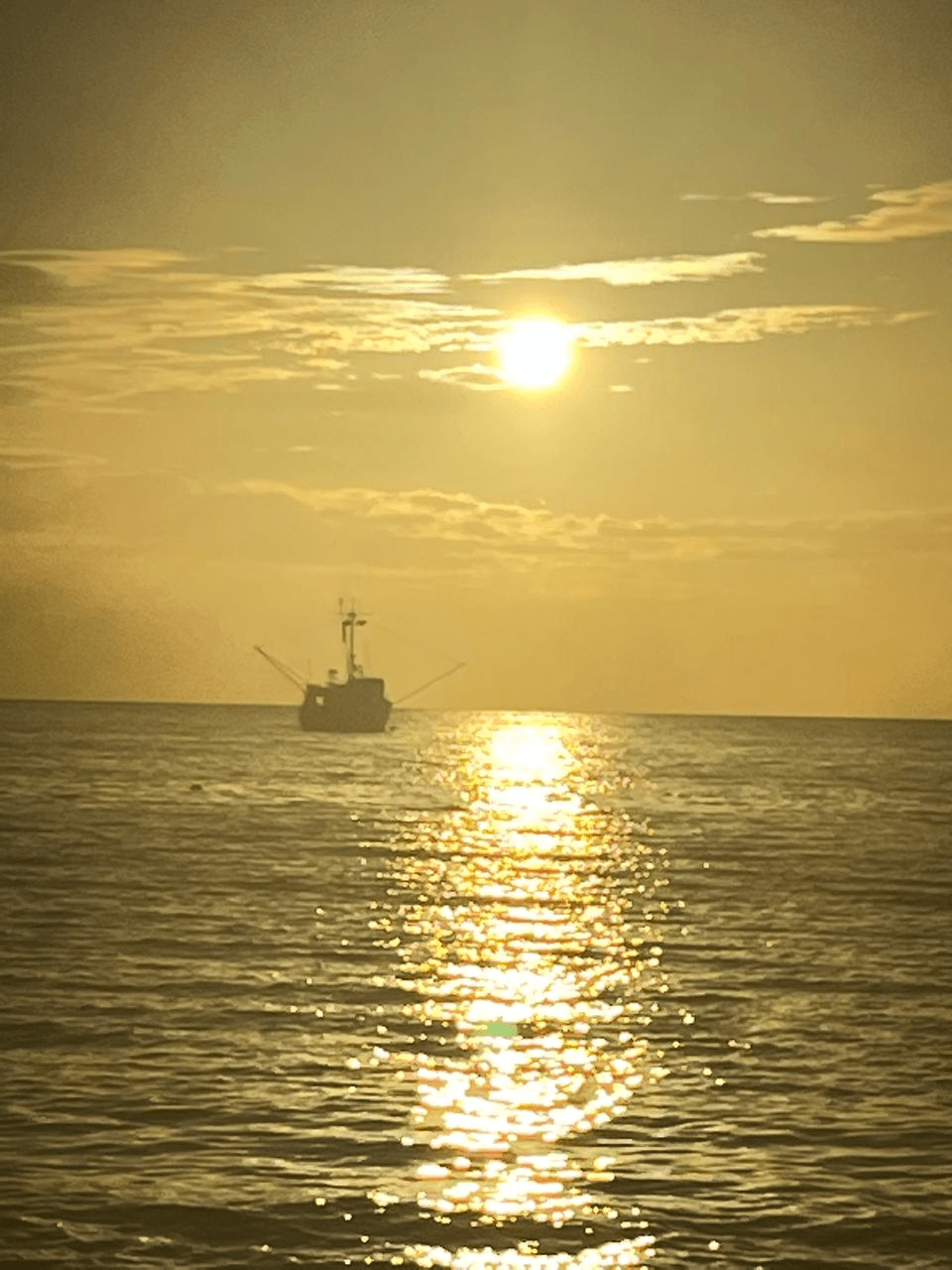 Sun Sea