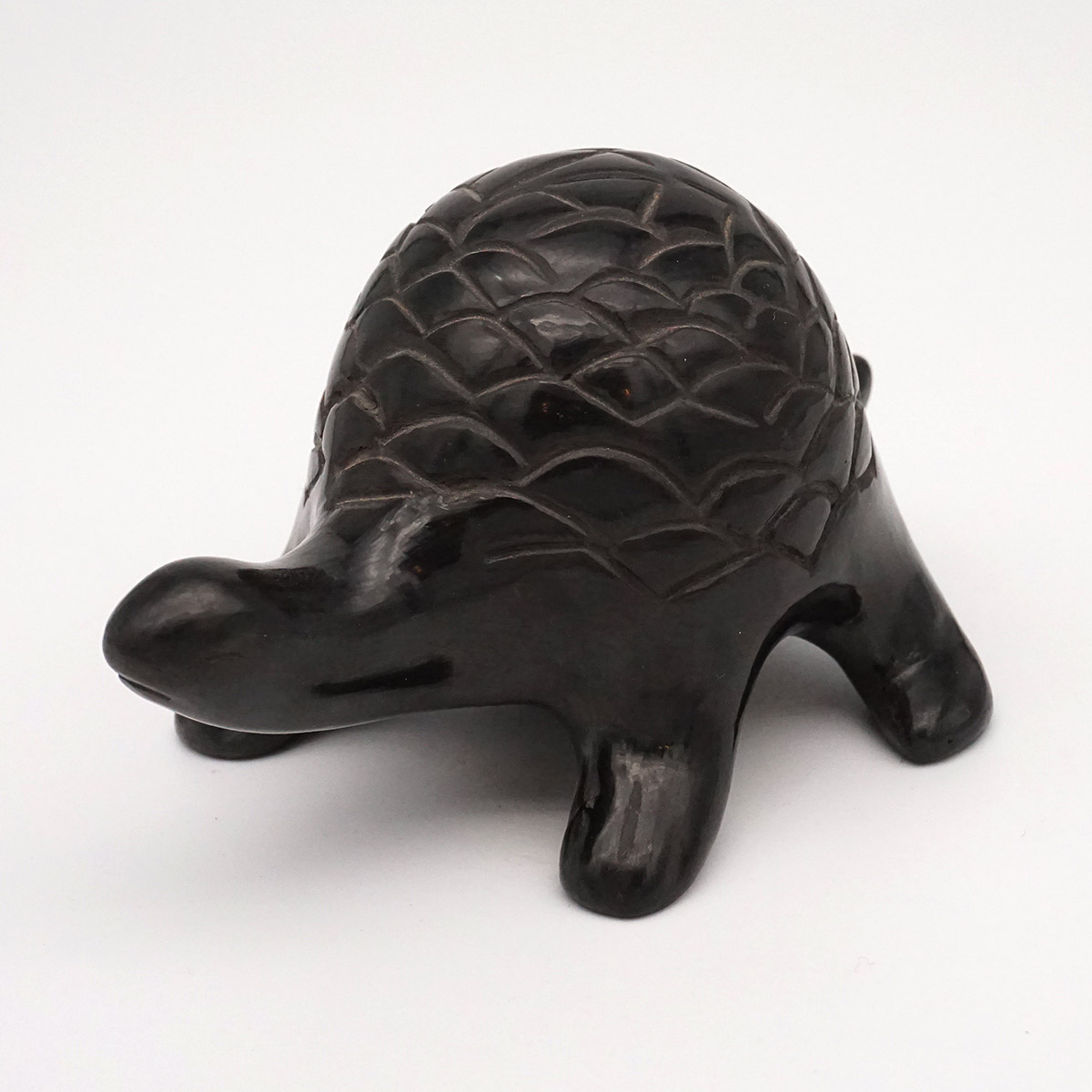 "Turtle" Maria I. Naranjo, Santa Clara Pueblo