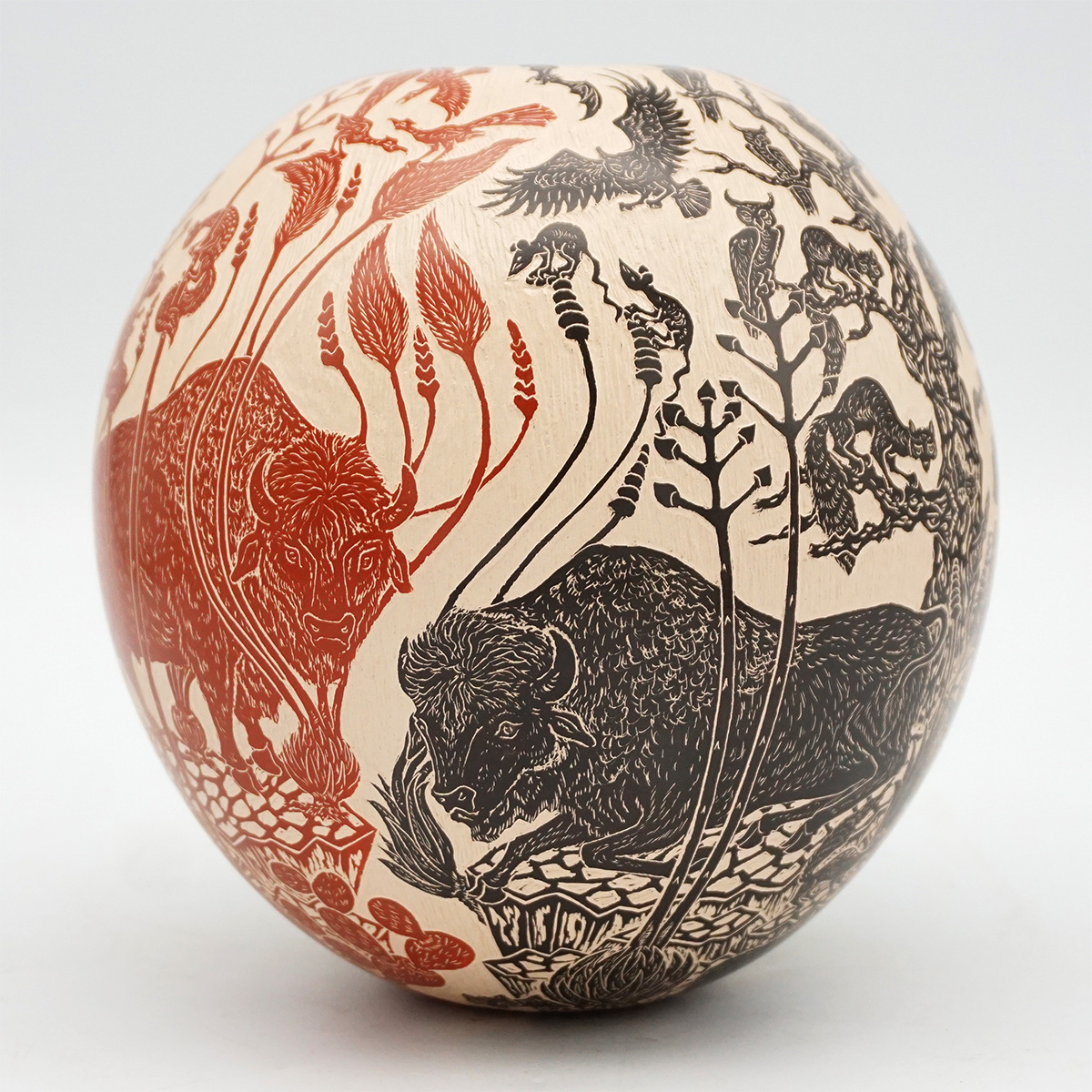 DSC04535.jpg?fit=1200,1200&ssl