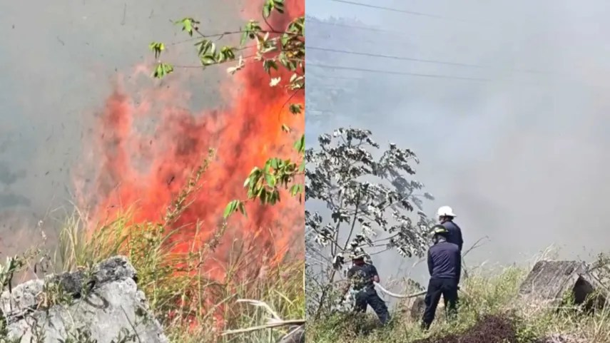 Rod Carew球场附近植被起火 消防部门迅速控制