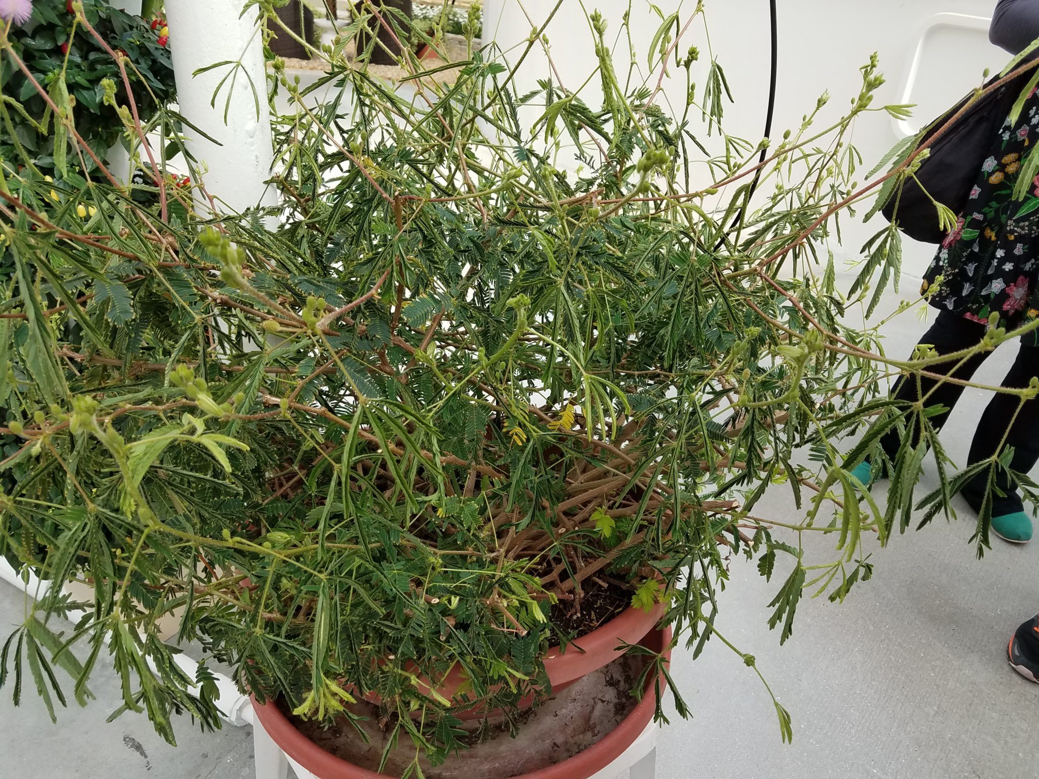 20180323_102737