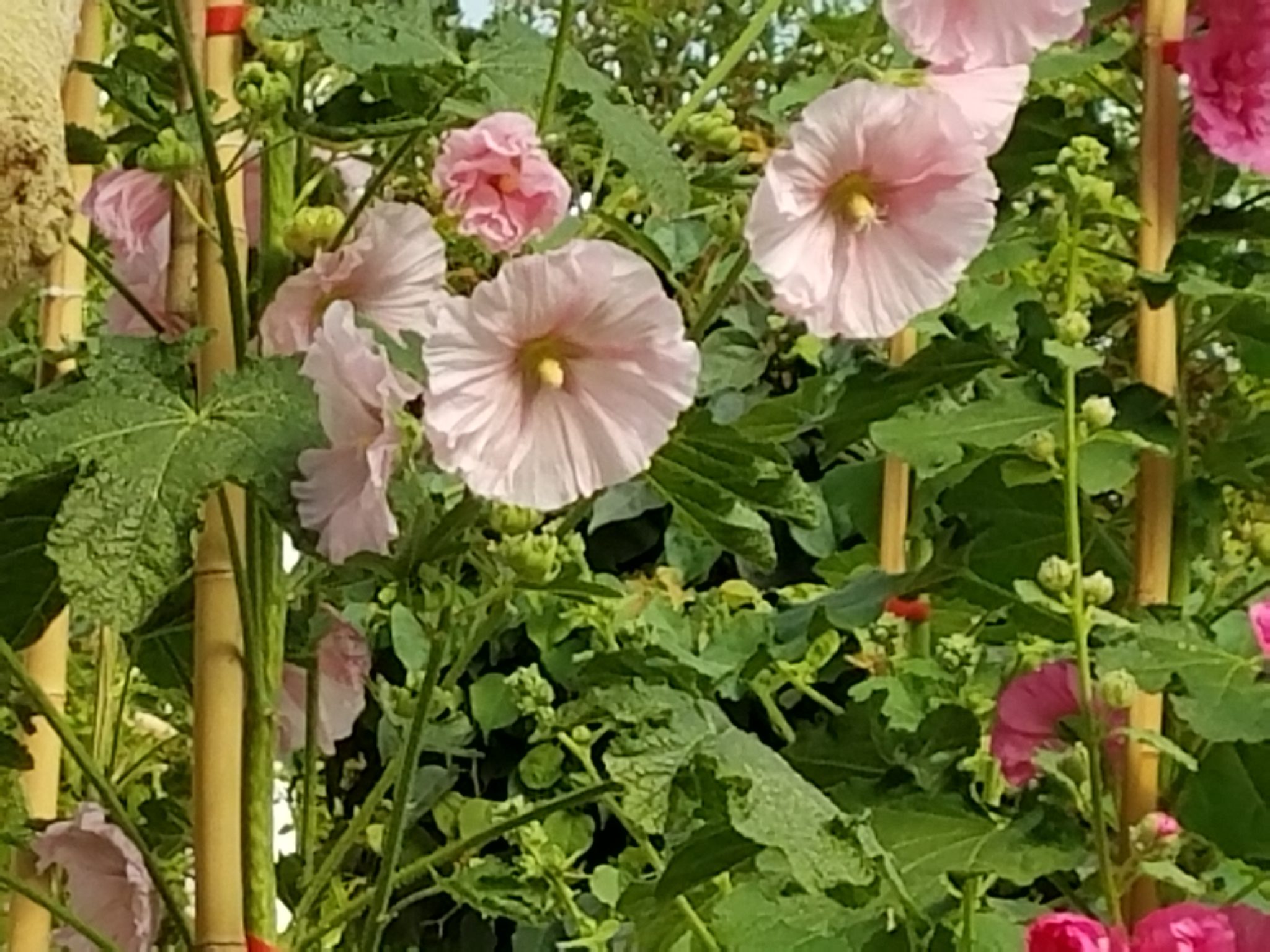 20180323_104629