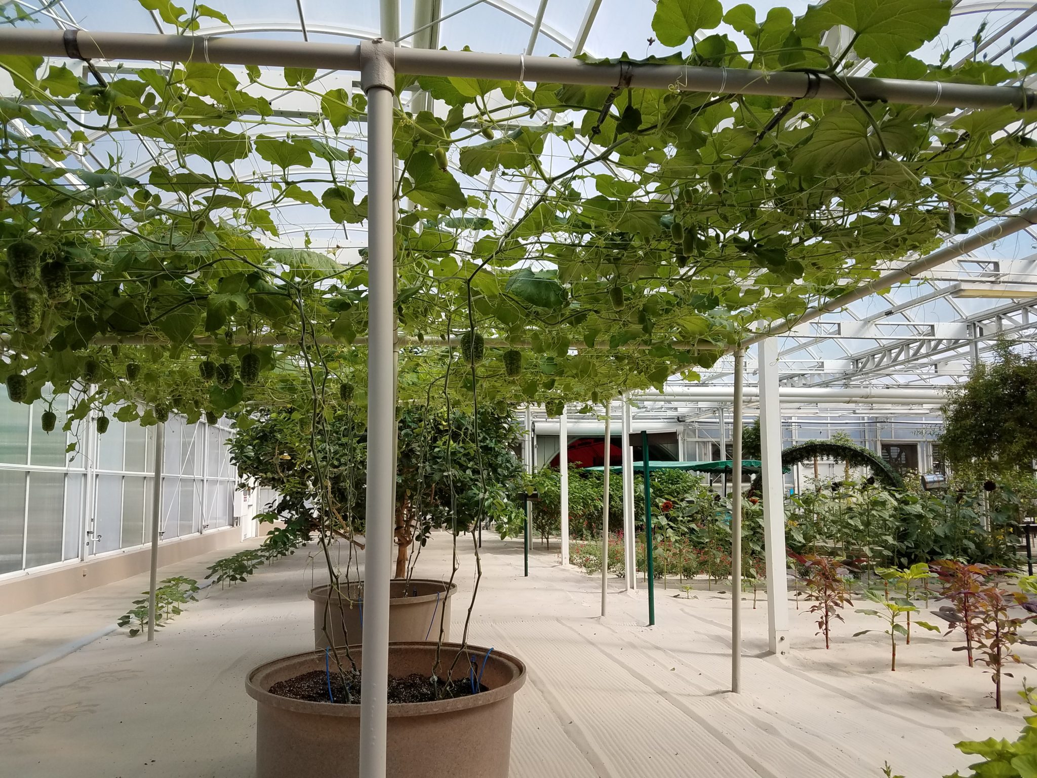 20180323_104817