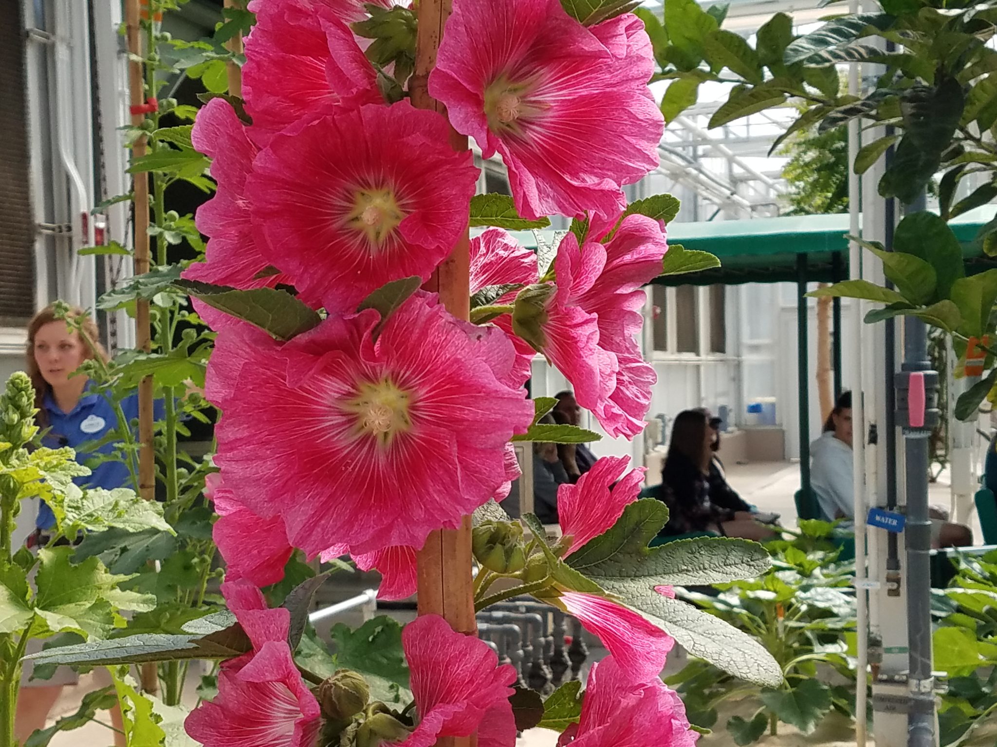 20180323_105037