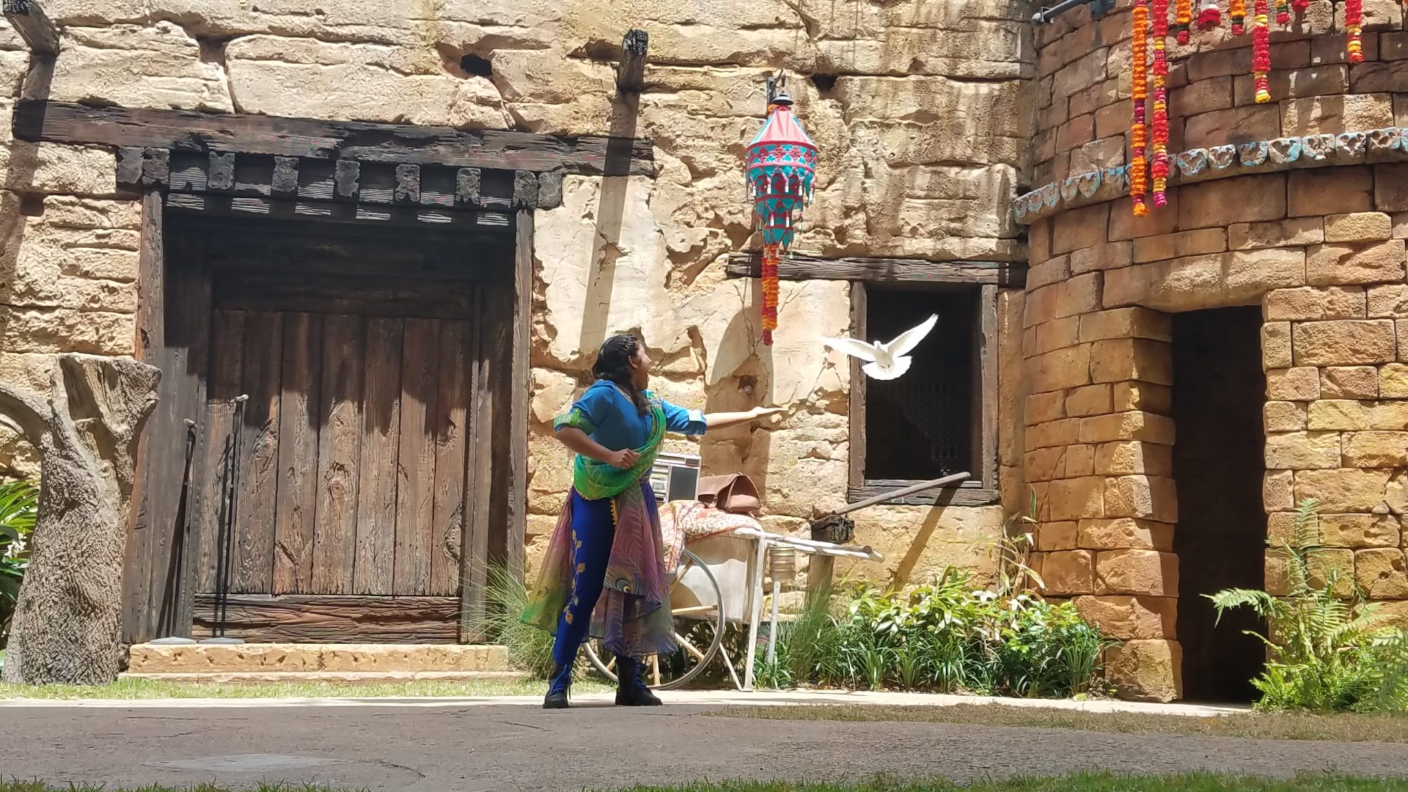 20th Anniversary Celebration