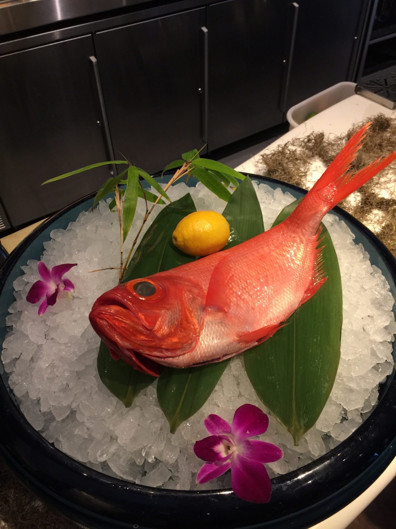 Ji-Kinmedai/Alfonsino