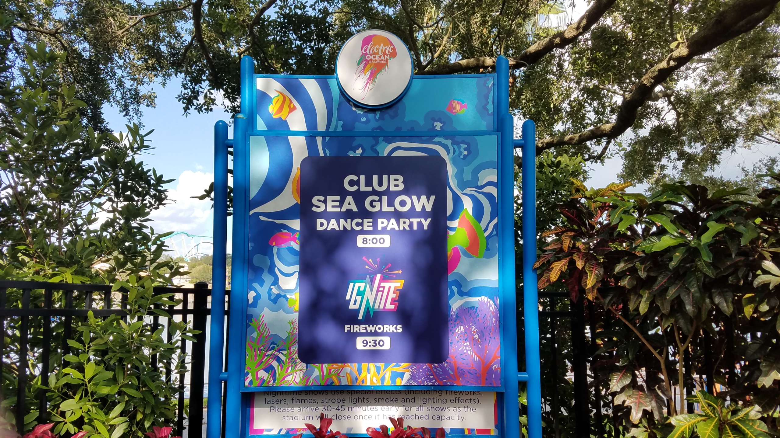 Electric Ocean Sea It Glow