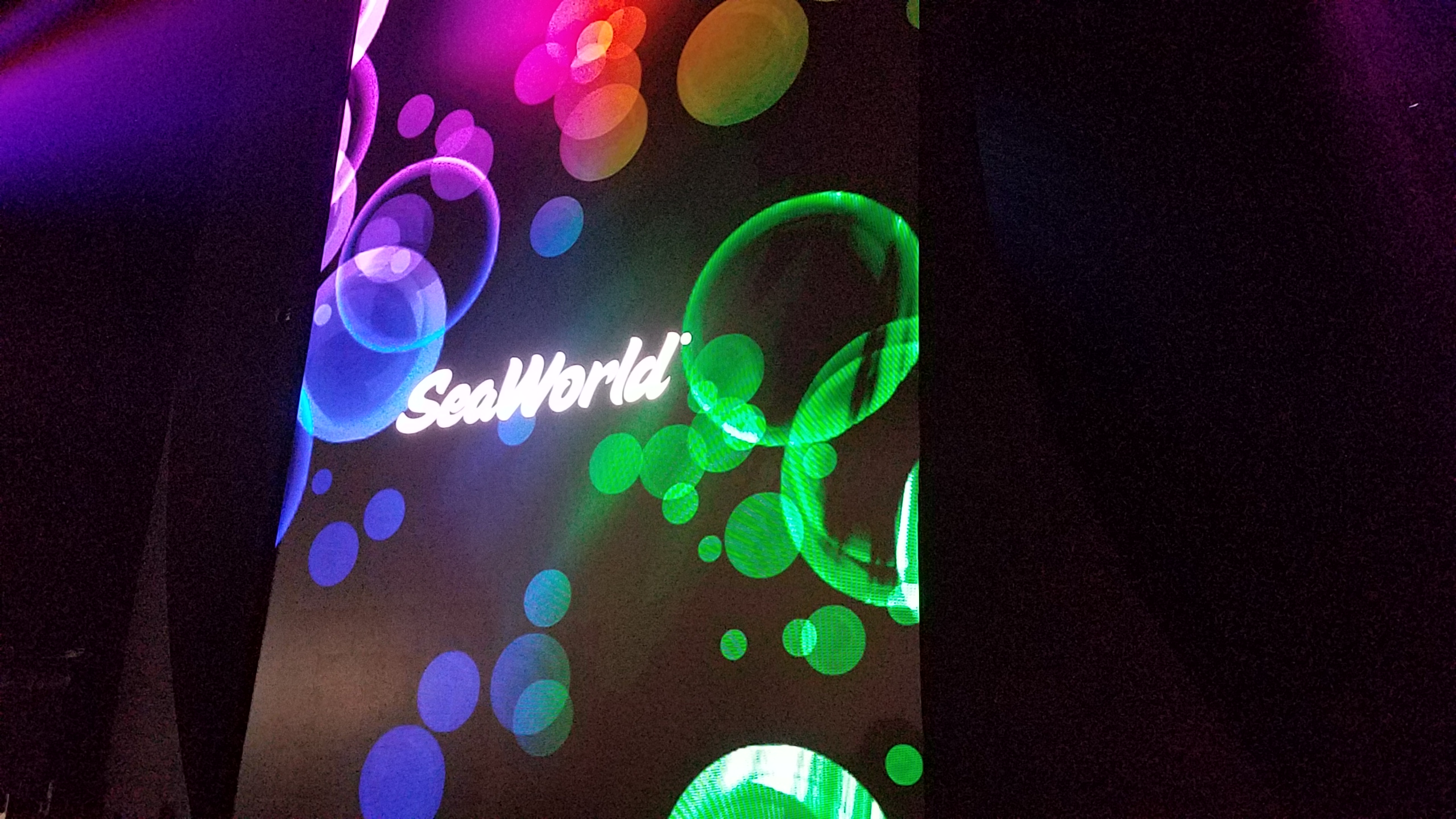 Electric Ocean Sea It Glow