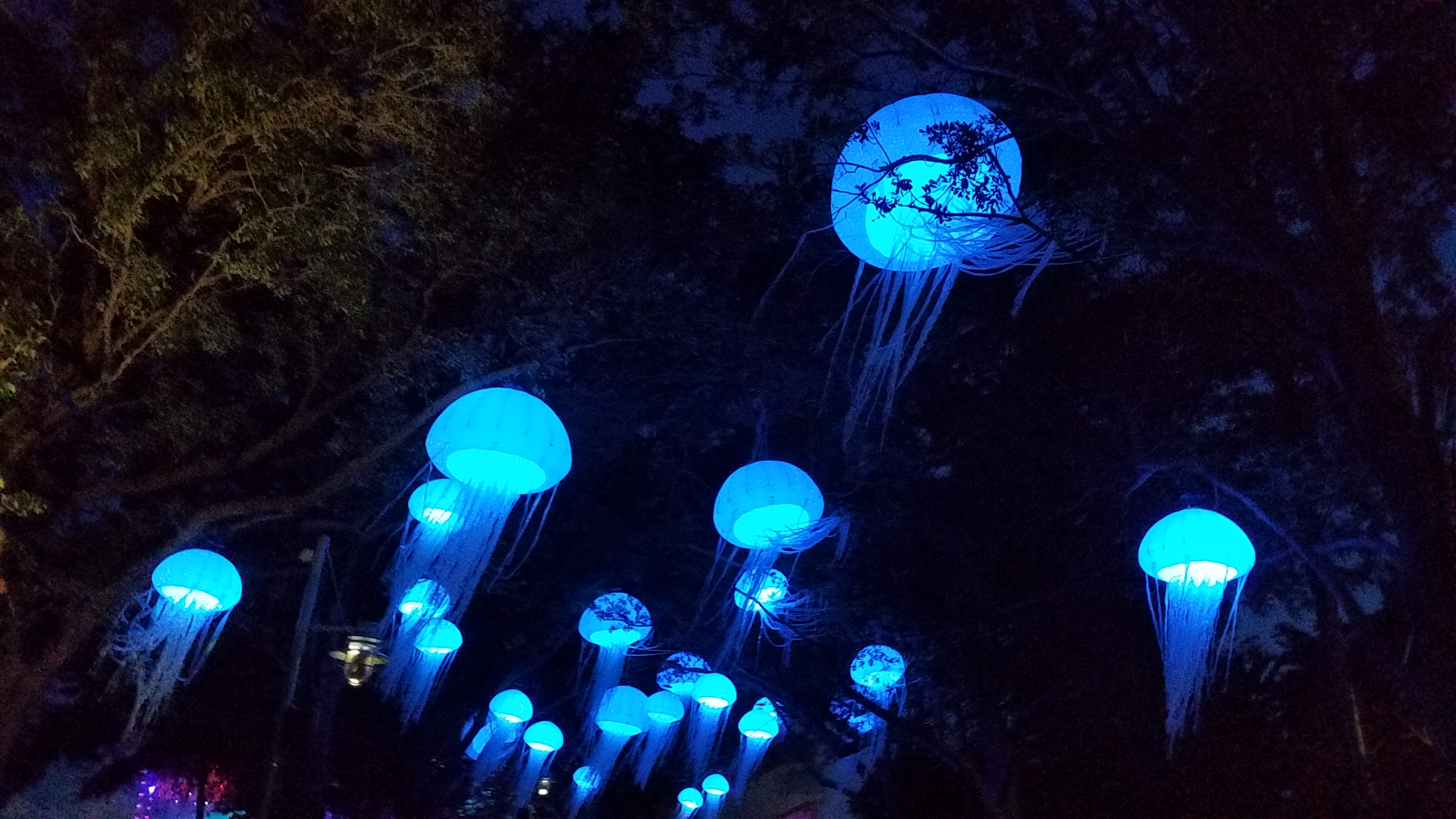 Electric Ocean Sea It Glow