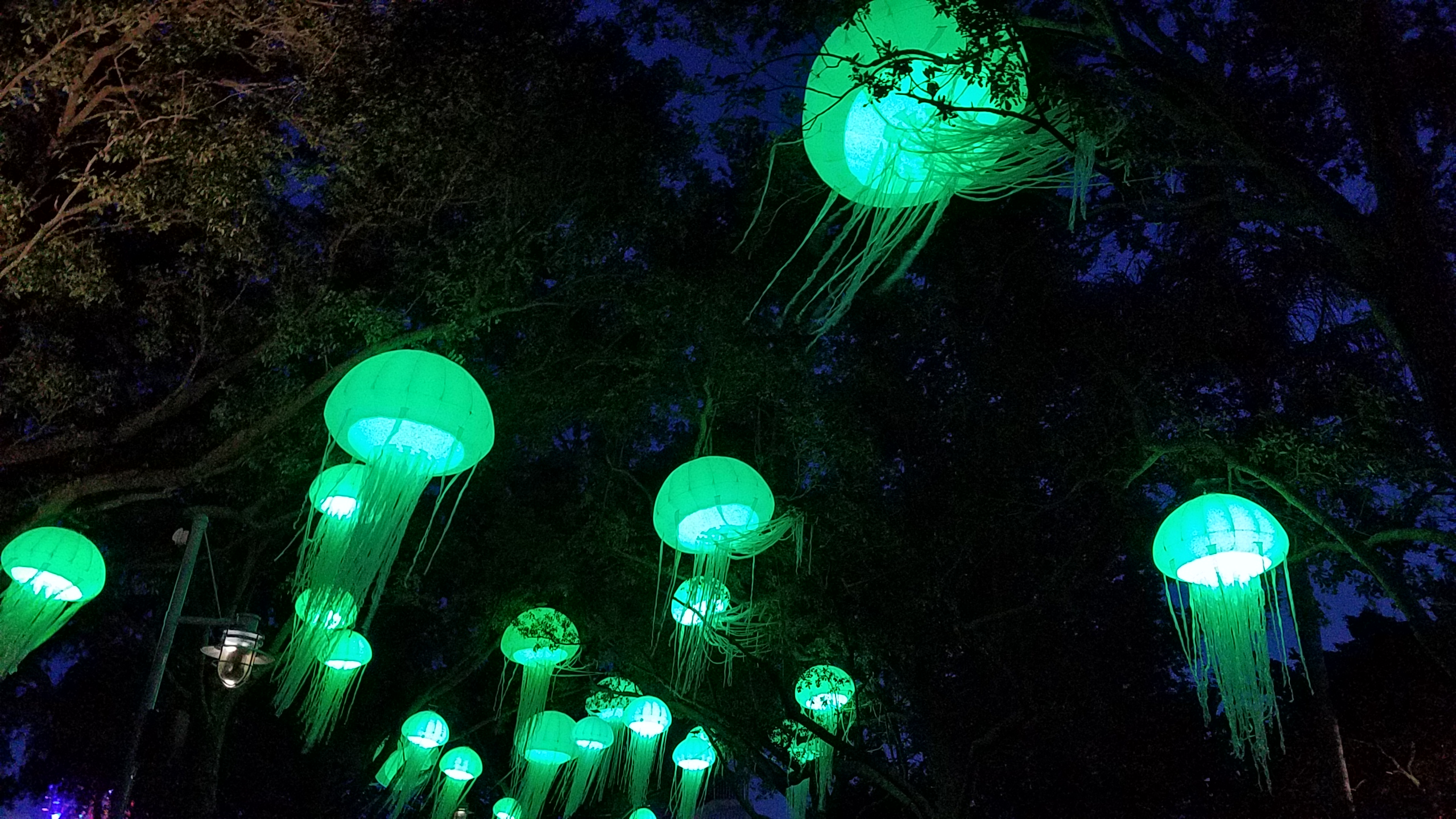 Electric Ocean Sea It Glow