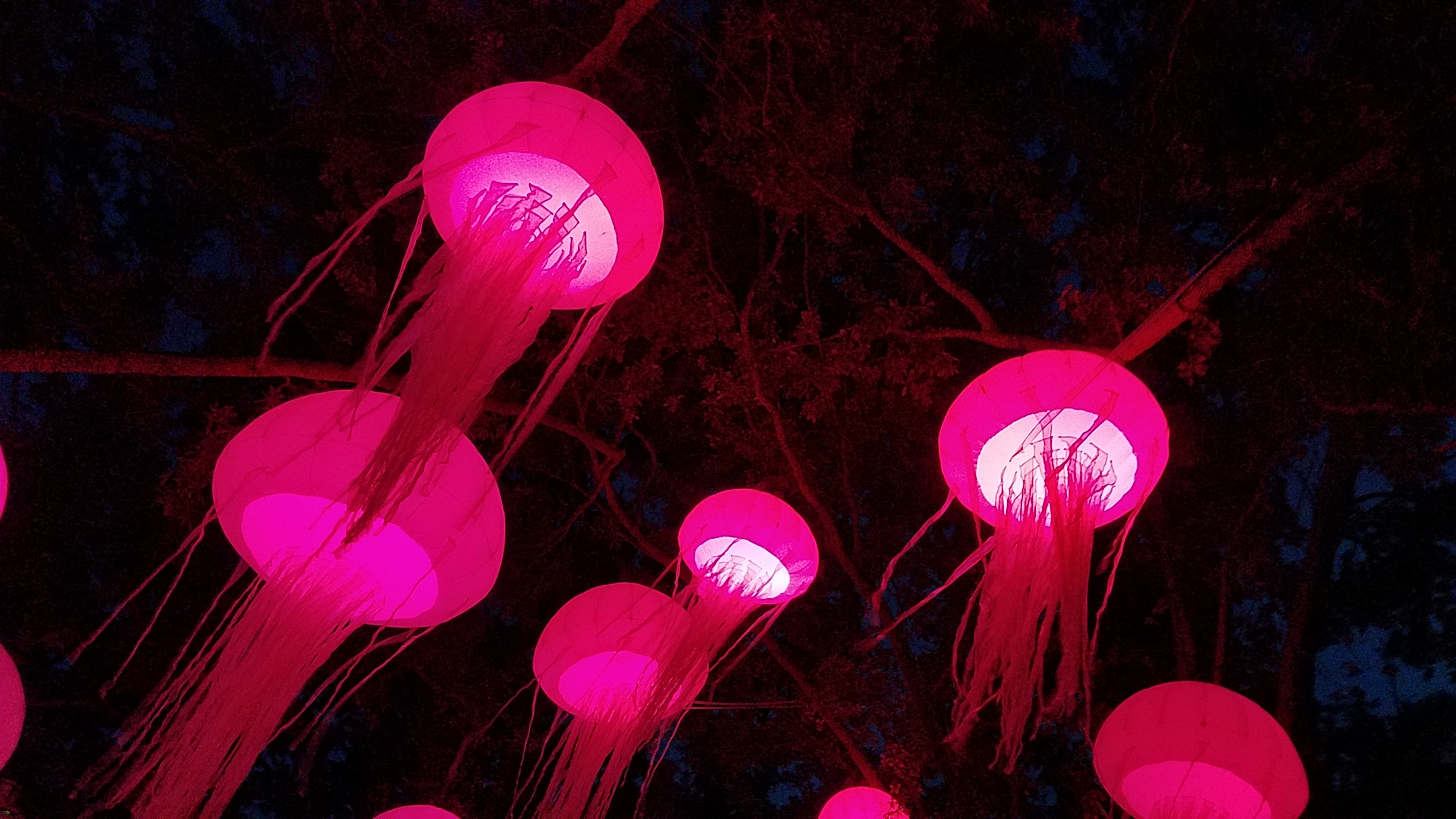 Electric Ocean Sea It Glow