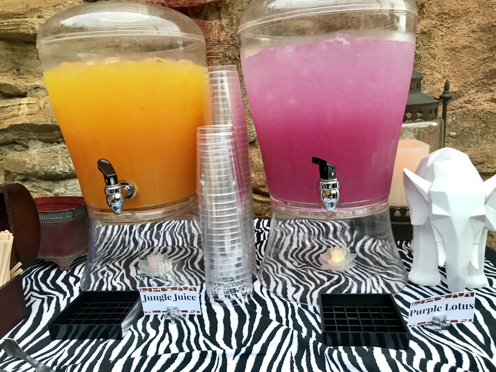 Rivers of Light Dessert Party