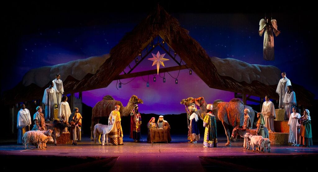 SeaWorld Christmas Celebration