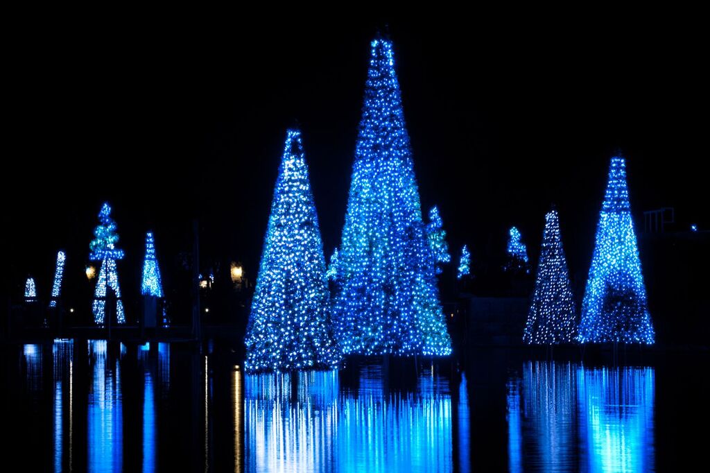 SeaWorld Christmas Celebration
