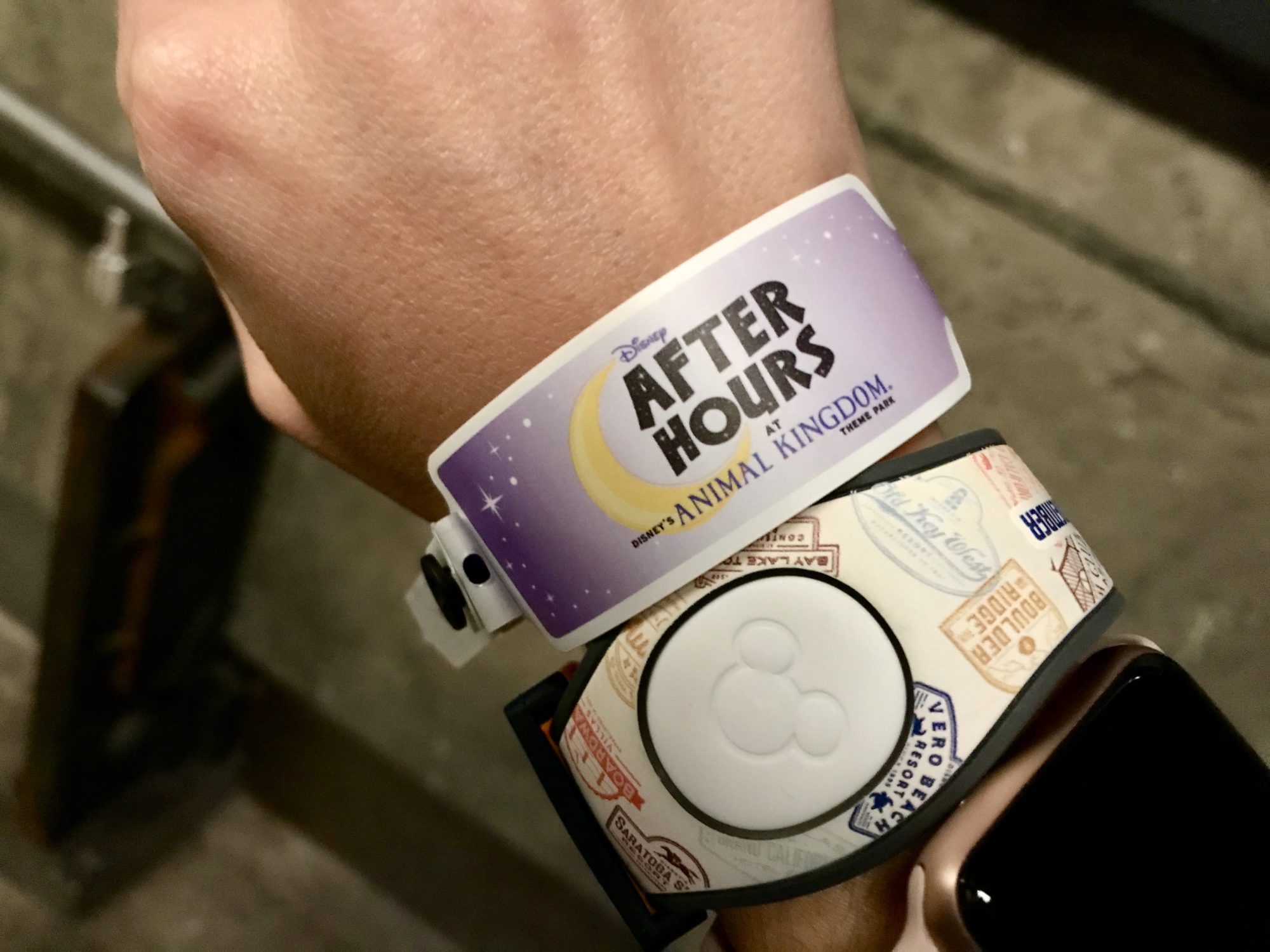 Disney After Hours at Animal Kingdom - Media Preview