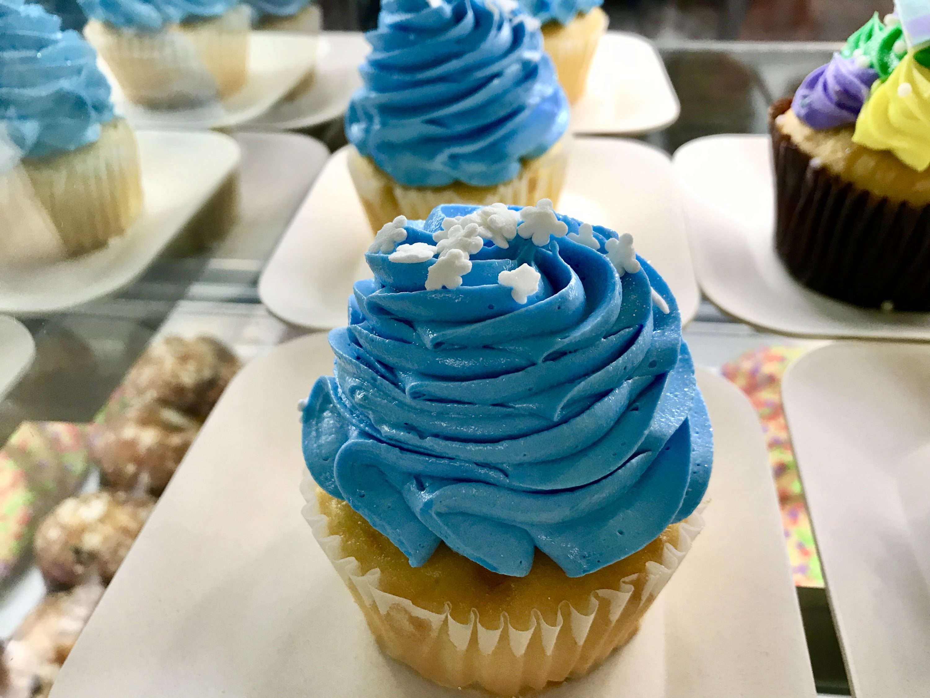 Enjoy Down Home Bayou Christmas Delights at Port Orleans
