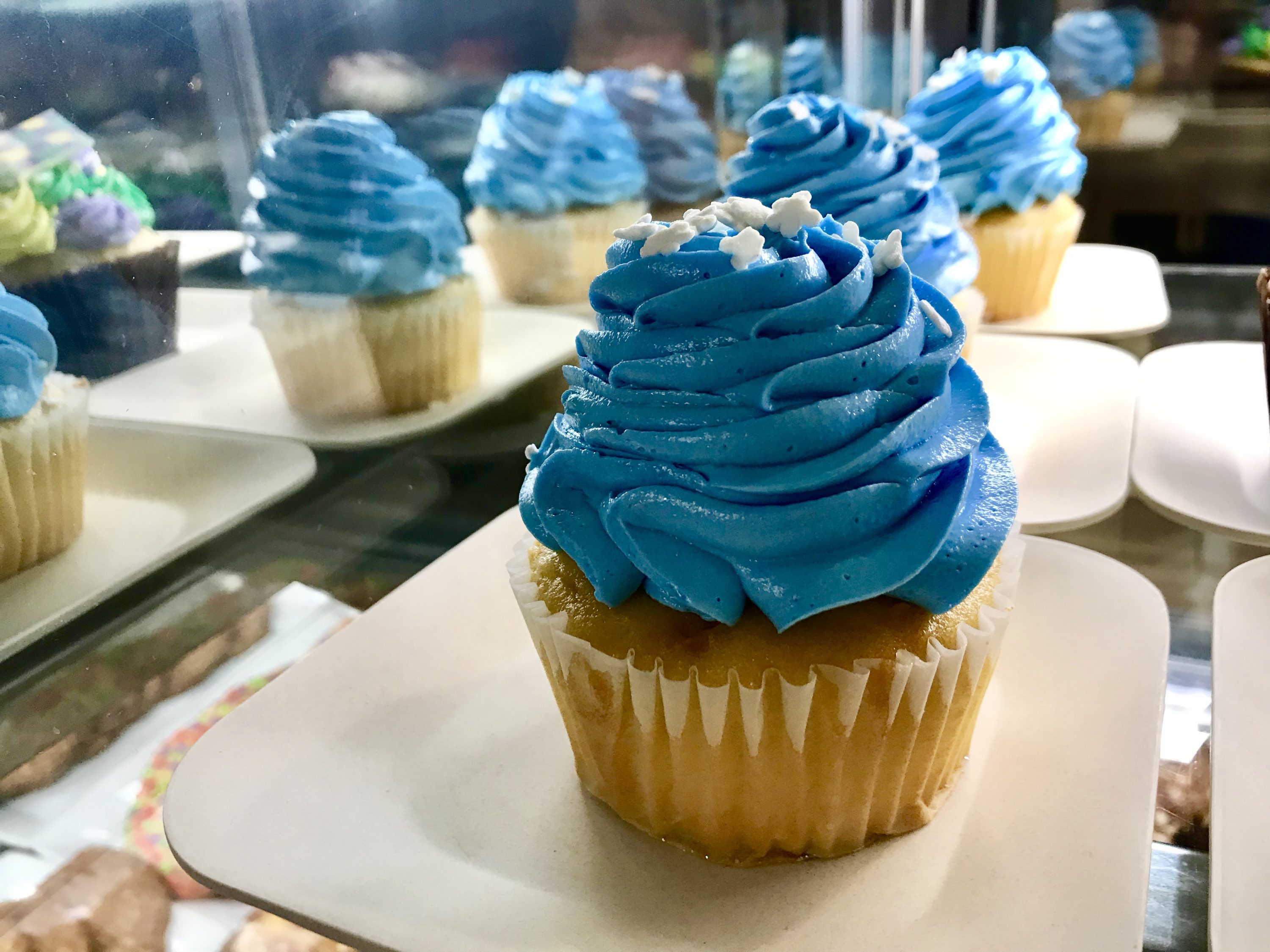 Enjoy Down Home Bayou Christmas Delights at Port Orleans