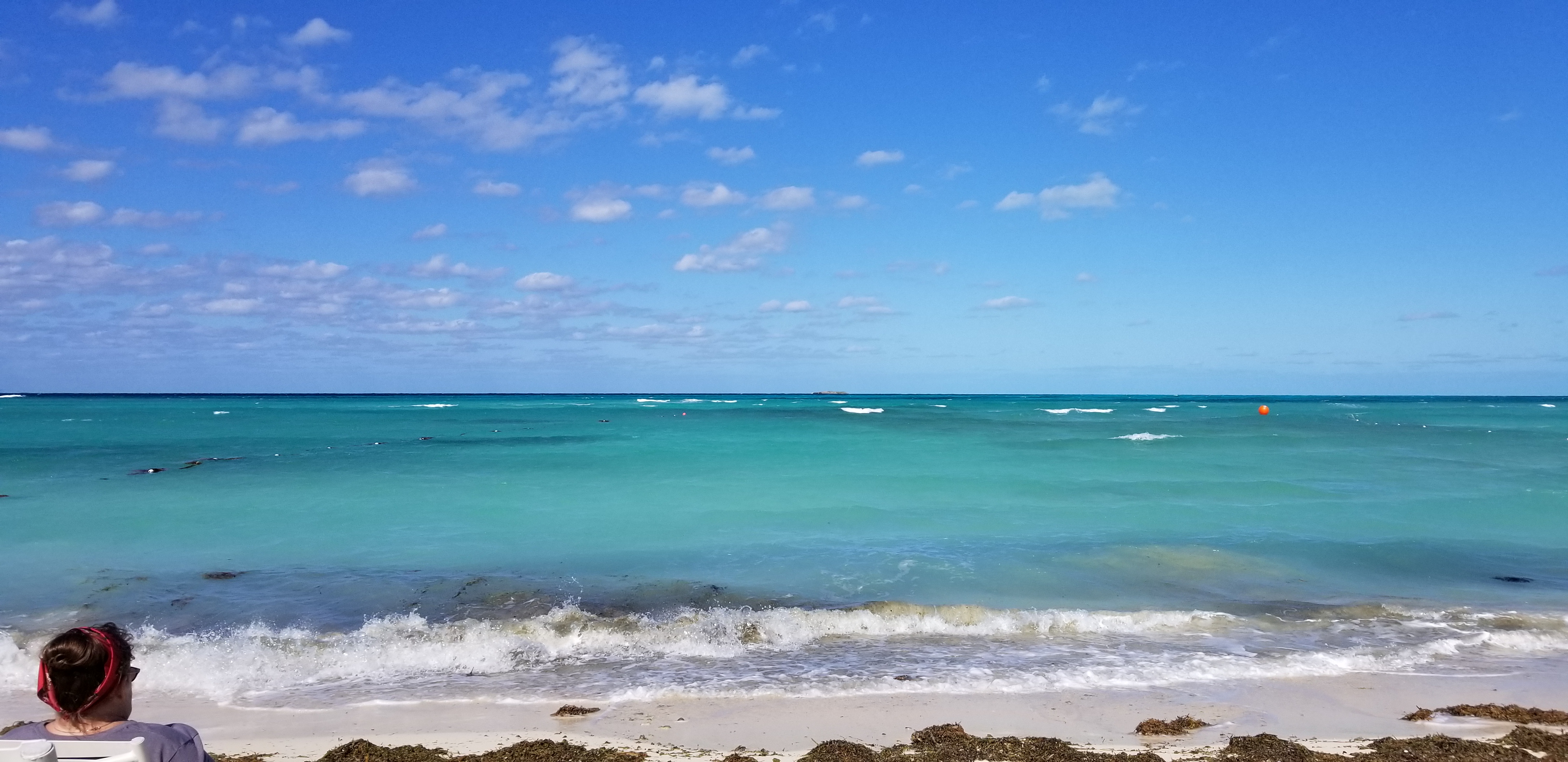 20190110_111905.jpg